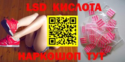 гашик Можга