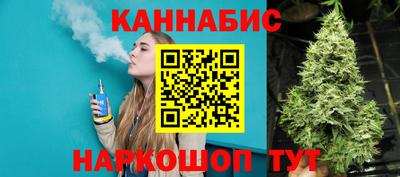 гашик Можга