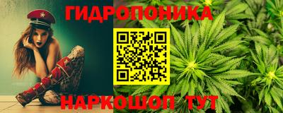 гашик Можга